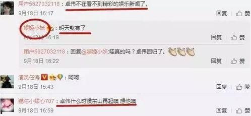 卓伟的爆料娱乐圈恋爱,卓伟爆料背后的情感纠葛